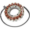 Στάτορας OEM στυλ RICK'S MOTORSPORT ELECTRICS 21-003