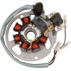 Στάτορας OEM style RICK'S MOTORSPORT ELECTRICS 21-550