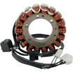 Στάτορας HOT SHOT RICK'S MOTORSPORT ELECTRICS 21-311H thumb