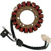 Στάτορας HOT SHOT RICK'S MOTORSPORT ELECTRICS 21-312H