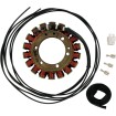 Στάτορας OEM STYLE RICK'S MOTORSPORT ELECTRICS 21-415 thumb