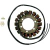 Στάτορας OEM style RICK'S MOTORSPORT ELECTRICS 21-316