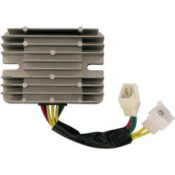 Ρυθμιστής OEM στυλ RICK'S MOTORSPORT ELECTRICS 10-219
