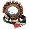 Στάτης OEM στυλ RICK'S MOTORSPORT ELECTRICS 21-616H