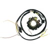 Στάτορας OEM style RICK'S MOTORSPORT ELECTRICS 21-553
