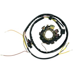 Στάτορας OEM style RICK'S MOTORSPORT ELECTRICS 21-553