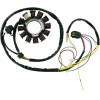 Στάτορας OEM STYLE RICK'S MOTORSPORT ELECTRICS 21-556