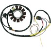 Στάτορας OEM STYLE RICK'S MOTORSPORT ELECTRICS 21-556 thumb
