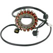 Στάτορας OEM στυλ RICK'S MOTORSPORT ELECTRICS 21-805 Στάτορας OEM στυλ RICK'S MOTORSPORT ELECTRICS 21-805 thumb