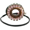 Στάτορας OEM στυλ RICK'S MOTORSPORT ELECTRICS 21-010