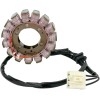 Στάτορας OEM style RICK'S MOTORSPORT ELECTRICS 21-231