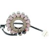 Στάτορας OEM style RICK'S MOTORSPORT ELECTRICS 21-232