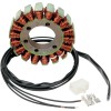 Στάτορας OEM στυλ RICK'S MOTORSPORT ELECTRICS 21-322