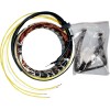 Στάτορας OEM style RICK'S MOTORSPORT ELECTRICS 21-100