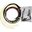 Στάτορας OEM style RICK'S MOTORSPORT ELECTRICS 21-100 Στάτορας OEM style RICK'S MOTORSPORT ELECTRICS 21-100 thumb