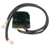 Ρυθμιστής-Ανορθωτής HOT SHOT RICK'S MOTORSPORT ELECTRICS 10-008H