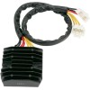 Ρυθμιστής τάσης HOT SHOT RICK'S MOTORSPORT ELECTRICS 10-120H