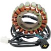 Στάτορας HOT SHOT RICK'S MOTORSPORT ELECTRICS 21-807H