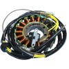 Στάτορας OEM στυλ RICK'S MOTORSPORT ELECTRICS 21-560