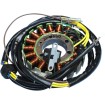 Στάτορας OEM στυλ RICK'S MOTORSPORT ELECTRICS 21-560 thumb