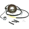 Στάτορας OEM στυλ RICK'S MOTORSPORT ELECTRICS 21-563