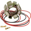 Στάτορας OEM στυλ RICK'S MOTORSPORT ELECTRICS 21-811 Στάτορας OEM στυλ RICK'S MOTORSPORT ELECTRICS 21-811 thumb