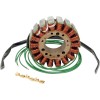 Στάτορας OEM στυλ RICK'S MOTORSPORT ELECTRICS 21-W102