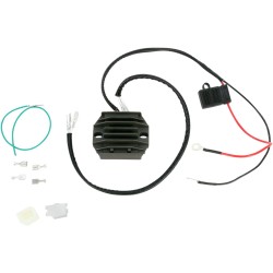 Ρυθμιστής-Ανορθωτής HOT SHOT RICK'S MOTORSPORT ELECTRICS 10-135H Ρυθμιστής-Ανορθωτής HOT SHOT RICK'S MOTORSPORT ELECTRICS 10-135H