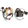 Σετ φόρτισης RICK'S MOTORSPORT ELECTRICS 99-601