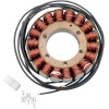 Στάτορας OEM style RICK'S MOTORSPORT ELECTRICS 21-331