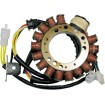 Στάτορας OEM στυλ RICK'S MOTORSPORT ELECTRICS 21-817 thumb