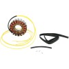 Στάτορας OEM style RICK'S MOTORSPORT ELECTRICS 21-056
