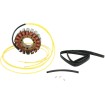 Στάτορας OEM style RICK'S MOTORSPORT ELECTRICS 21-056 Στάτορας OEM style RICK'S MOTORSPORT ELECTRICS 21-056 thumb