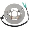 Στάτορας OEM style RICK'S MOTORSPORT ELECTRICS 21-926