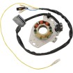 Στάτορας HOT SHOT RICK'S MOTORSPORT ELECTRICS 21-603H Στάτορας HOT SHOT RICK'S MOTORSPORT ELECTRICS 21-603H thumb