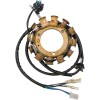 Στάτορας HOT SHOT RICK'S MOTORSPORT ELECTRICS 21-647H