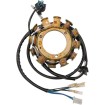 Στάτορας HOT SHOT RICK'S MOTORSPORT ELECTRICS 21-647H Στάτορας HOT SHOT RICK'S MOTORSPORT ELECTRICS 21-647H thumb