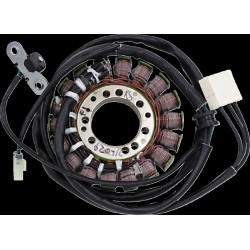 Στάτορας σε στυλ OE TRIUMPH RICK'S MOTORSPORT ELECTRICS 21-029 Στάτορας σε στυλ OE TRIUMPH RICK'S MOTORSPORT ELECTRICS 21-029