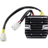 Ρυθμιστής/Διορθωτής LITH-ION HS RICK'S MOTORSPORT ELECTRICS 14-009H