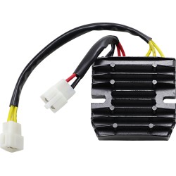 Ρυθμιστής/Διορθωτής LITH-ION HS RICK'S MOTORSPORT ELECTRICS 14-009H