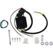 Ρυθμιστής/Διορθωτής LITH-ION HS RICK'S MOTORSPORT ELECTRICS 14-164H Ρυθμιστής/Διορθωτής LITH-ION HS RICK'S MOTORSPORT ELECTRICS 14-164H thumb