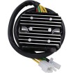 Ρυθμιστής/Ανορθωτής LITH-ION RICK'S MOTORSPORT ELECTRICS 14-139 thumb