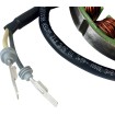 Στάτορας DUCATI RICK'S MOTORSPORT ELECTRICS 21-039 thumb