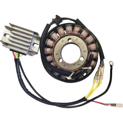 Σετ φόρτισης H/S KAWASAKI RICK'S MOTORSPORT ELECTRICS 99-200H Σετ φόρτισης H/S KAWASAKI RICK'S MOTORSPORT ELECTRICS 99-200H
