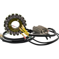 Σετ φόρτισης H/S KAWASAKI RICK'S MOTORSPORT ELECTRICS 14-99-201H Σετ φόρτισης H/S KAWASAKI RICK'S MOTORSPORT ELECTRICS 14-99-201H