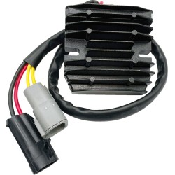 Ρεκτ/ρεγ H/S LITH-ION RICK'S MOTORSPORT ELECTRICS 14-016H