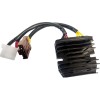 Ρεκτ/ρεγ H/S LITH-ION RICK'S MOTORSPORT ELECTRICS 14-002H