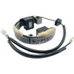Στάτορας KTM HUS 50 RICK'S MOTORSPORT ELECTRICS 21-0093 Στάτορας KTM HUS 50 RICK'S MOTORSPORT ELECTRICS 21-0093 thumb