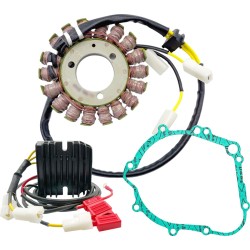 Σετ φόρτισης RICK'S MOTORSPORT ELECTRICS 99-300