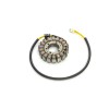Στάτορας HONDA RICK'S MOTORSPORT ELECTRICS 21-169